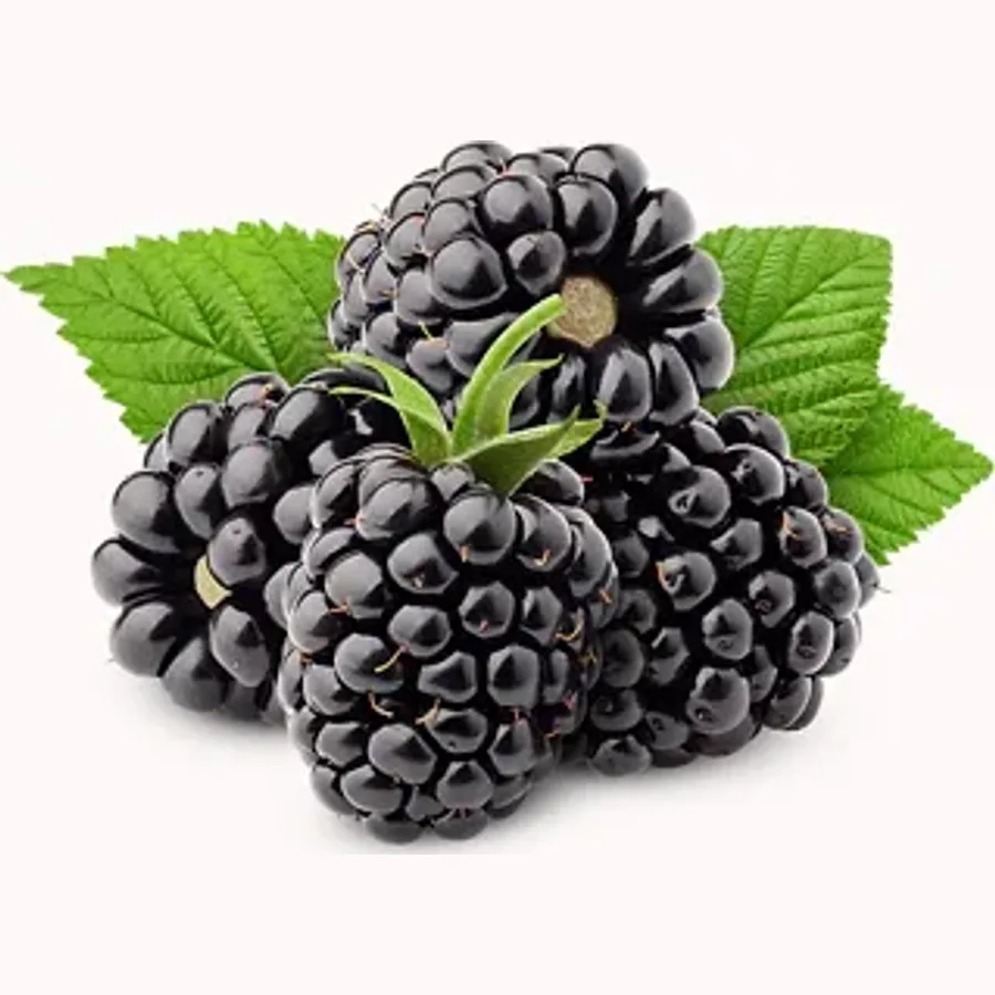 Blackberry from Netherlands