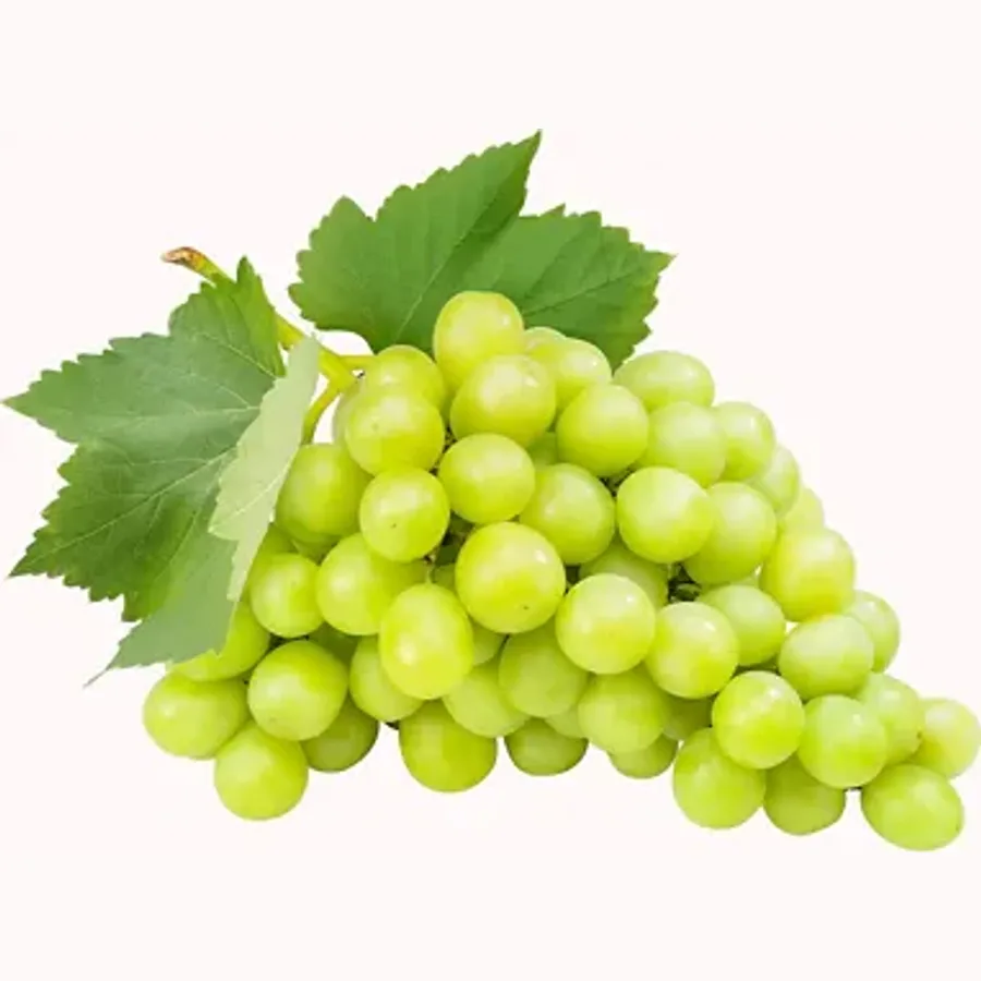 Seedless Green Grapes From Spain
